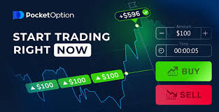 Bonuses Pocket Option India 14