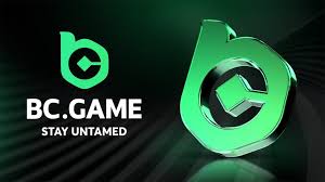 Exploring the Fascinating World of BC.Game Mirror