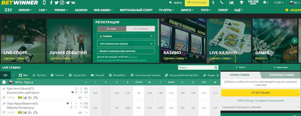 Comprehensive BetWinner Vietnam Guide