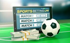 Experience the Thrill of Betting with Betwinner