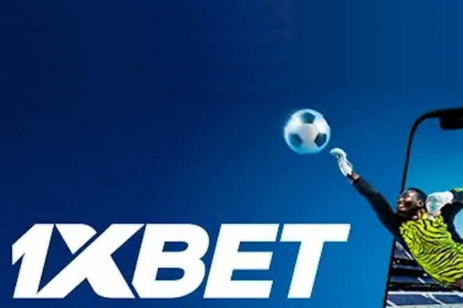 Betting Hub Your Ultimate Guide to Online Betting 682646644